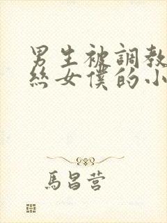 男生被调教成白丝女仆的小说