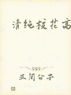 清纯校花高h文