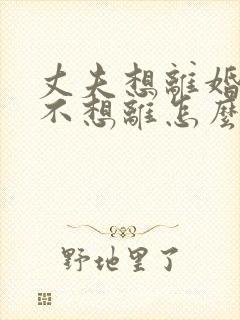 丈夫想离婚妻子不想离怎么办封面