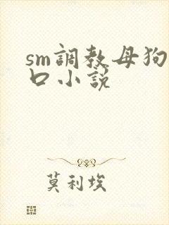 sm调教母狗重口小说