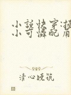 小说快穿:拯救小可怜配角完整版