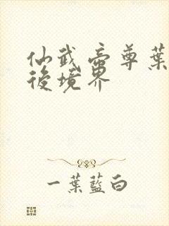 仙武帝尊叶辰最后境界