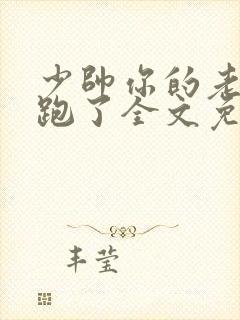 少帅你的老婆又跑了全文免费读