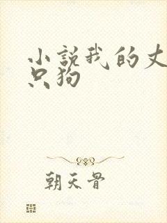小说我的丈夫是只狗