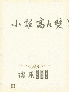 小说高h双男主封面