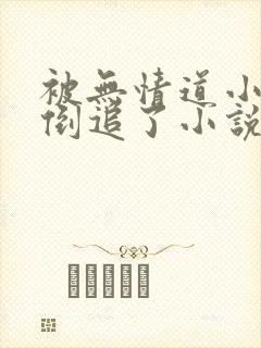 被无情道小师弟倒追了小说番外封面