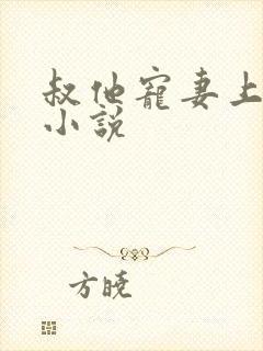 叔他宠妻上瘾 小说