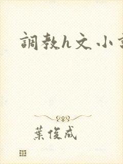 调教h文小说封面