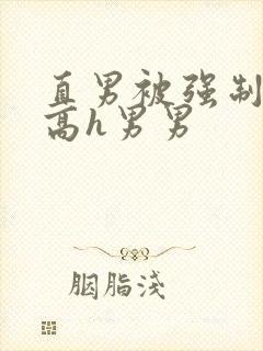 直男被强制c哭高h男男