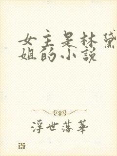 女主是林黛玉姐姐的小说