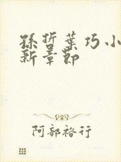 孙哲叶巧小说最新章节