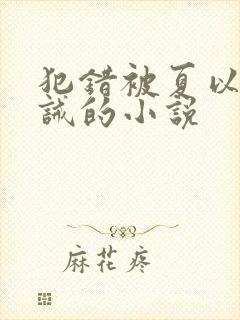 犯错被夏以昼训诫的小说封面