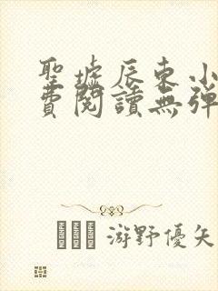 圣墟辰东小说免费阅读无弹窗封面