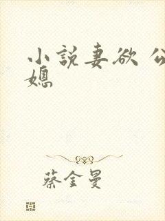 小说妻欲 公与媳