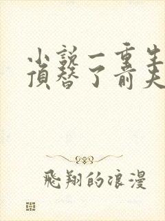 小说一重生后我顶替了前夫白月光封面