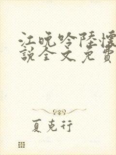 江晚吟陆怀璟小说全文免费阅读