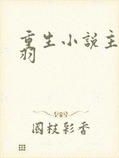 重生小说主角林羽