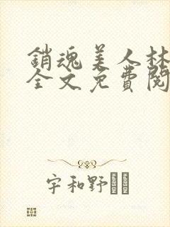 销魂美人林婷婉全文免费阅读小说封面