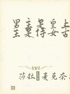 男主是皇上 女主是侍女古言