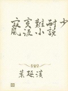 寂寞难耐少妇的风流小说