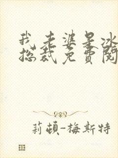 我老婆是冰山女总裁免费阅读全文封面