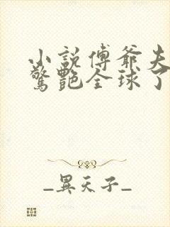 小说傅爷夫人又惊艳全球了封面