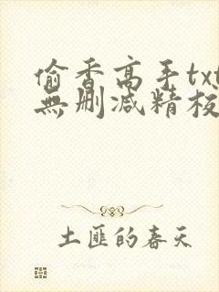 偷香高手txt无删减精校版