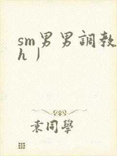 sm男男调教〈h丿