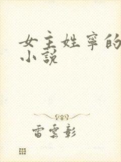 女主姓宁的现代小说