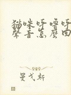 猫咪呼噜呼噜的声音怎么回事封面