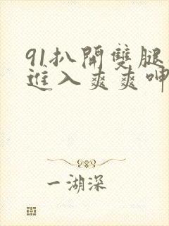 91扒开双腿猛进入爽爽呻吟视频