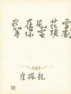 我在风花雪月里等你电视剧