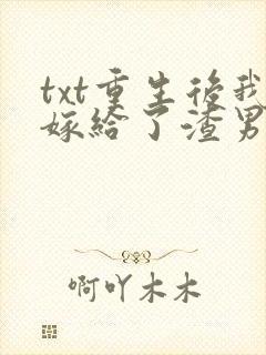 txt重生后我嫁给了渣男的死对头封面