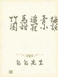 竹马追青梅的校园甜宠小说