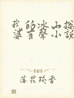 我的冰山总裁老婆有声小说