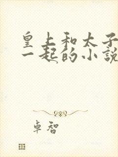 皇上和太子妃在一起的小说有哪些