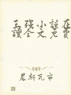 王强小说在线阅读全文免费