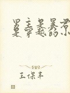 男主是暴君女主是穿越的小说