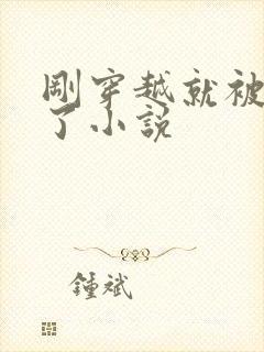 刚穿越就被发现了小说封面