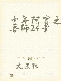 少年阿宾之吾爱吾师24章封面