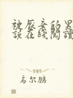 被厌弃的男妻小说在线阅读封面