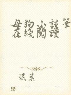 母狗小说笔趣阁在线阅读