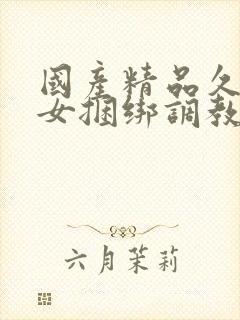 国产精品久久美女捆绑调教网站