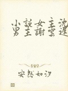 小说女主沈晚梨男主谢云迟的小说