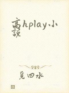 高hplay小说