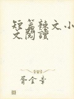 短篇辣文小说全文阅读