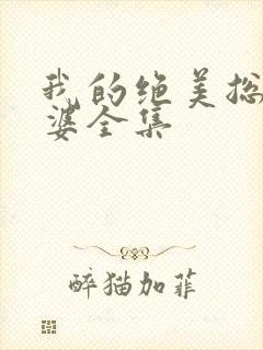 我的绝美总裁老婆全集