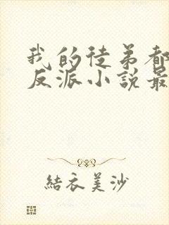 我的徒弟都是大反派小说最新章下载封面