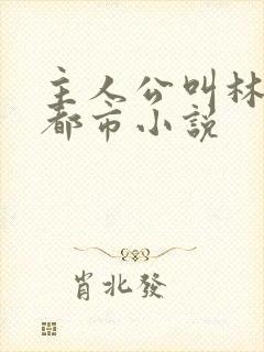 主人公叫林萧的都市小说