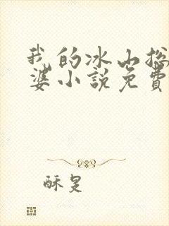 我的冰山总裁老婆小说免费阅读